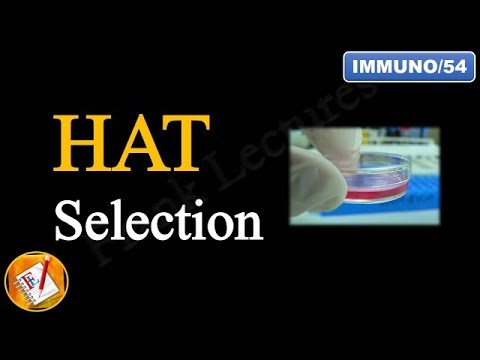 HAT Medium and Principle of HAT Selection (FL-Immuno/54)