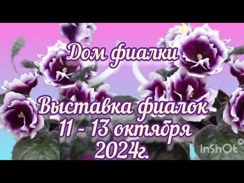 ФИАЛКИ. Выставка с 11- 13 октября 2024 года в Доме Фиалки #выставка #фиалки