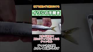 イワシの手開きの仕方‼️