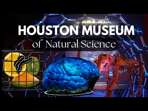 Houston Museum of Natural Science | Experience & Learn from Main Exhibit & Cockrell Butterfly Center