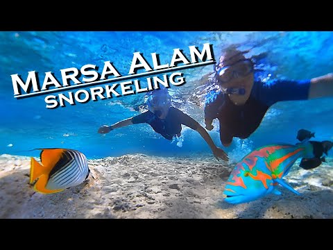 Marsa Alam snorkeling in Red Sea Egypt 💖 4K 60fps 👀 The best places 🇪🇬