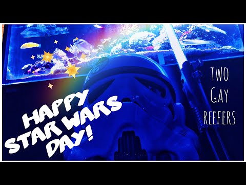 Happy Star Wars Day!