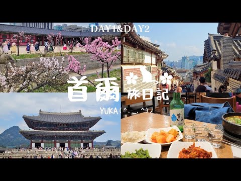 【Seoul Travel VLOG】The first self-guided trip to South Korea, all delicious and fun!