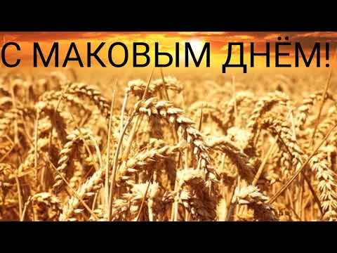 САМОЕ КРАСИВОЕ ПОЗДРАВЛЕНИЕ С МАКОВЫМ ДНЁМ ! МАКОВ ДЕНЬ | 16 июля -МАКОВ ДЕНЬ, ДЕНЬ МОКИЯ И МАРКА |