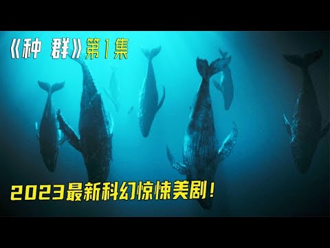 2023最新科幻美劇《種群》海洋發生突變，無數可燃冰浮出海面！ #靈異 #驚悚 #電影解說 #都市傳說 #怪談