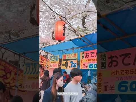 #japan #travel #sakura #hanami #uenopark #trending #viral #highlights