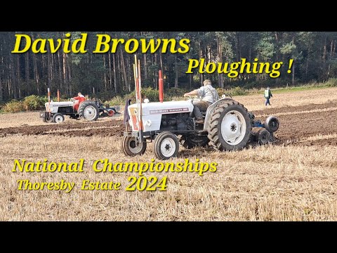 Ploughing one's own Furrow 2024