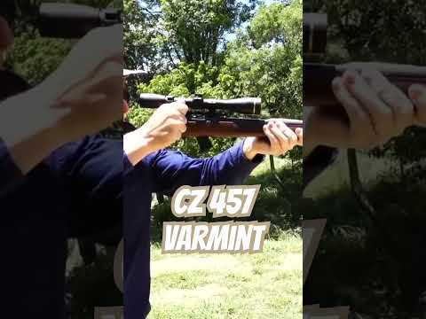 CZ 457 Varmint #ozziereviews #cz #cz457 #22lr #shooting -#plinking #rifle #firearms #gun #rimfire