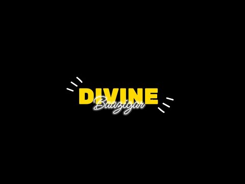 DIVINE - Baazigar feat. Armani White | Black Screen Status