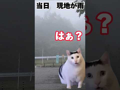 【ロードバイクあるある】天気予報に騙されたローディーの1日 #猫ミーム #猫meme #猫マニ