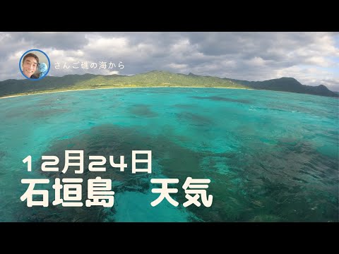 【石垣島天気】12月24日9時ごろ。15秒でわかる今日の石垣島の様子。