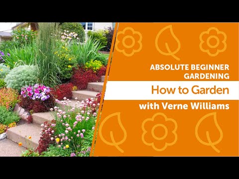 How to Garden | Tips for Absolute Beginners