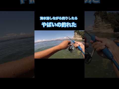 海水浴しながら釣りしたらやばいの釣れた。福島県いわき市。#shorts