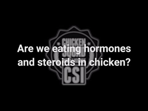 Clip: Chicken Squad Intelligence™ -  Are We Eating Hormones and Steroids in Chicken?