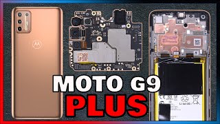 Motorola Moto G9 Plus Disassembly Teardown Repair Video Review