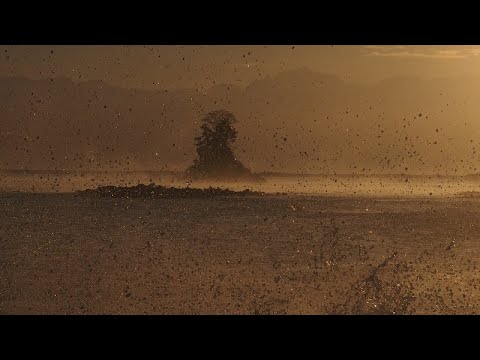 2023 12 4　初冬の雨晴海岸