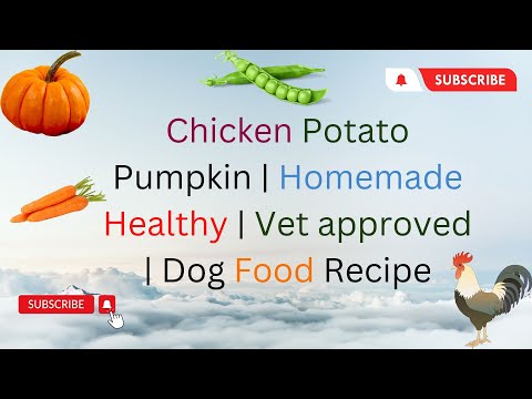 Chicken Potato Pumpkin  Homemade Healthy  Vet approved  Dog Food Recipe DIY Dog Food  blogsbyibrar