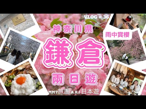 VLOG #36 神奈川鎌倉 | 東京近郊旅行| 鎌倉兩日遊| 鎌倉王子大飯店| YORIDOCORO CAFE | 生雞蛋拌飯| 妙本寺| 雨中賞櫻 | staycation 2023花見系列#鎌倉