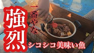 強烈美味い漁師飯になりました‼️【底引き網漁】口が大きくて見た目悪いけど絶品やなこの魚