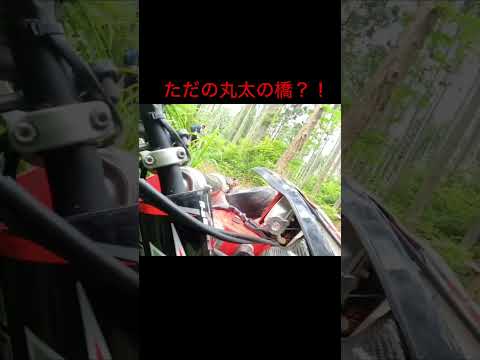 丸太との触れ合い❤️‍🔥　#automobile #shortvideo #shorts #dirtbike #林道 #funny #funny #hardenduro #happening