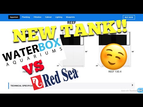 New Tank! WaterBox vs Redsea 🤷🏻‍♂️