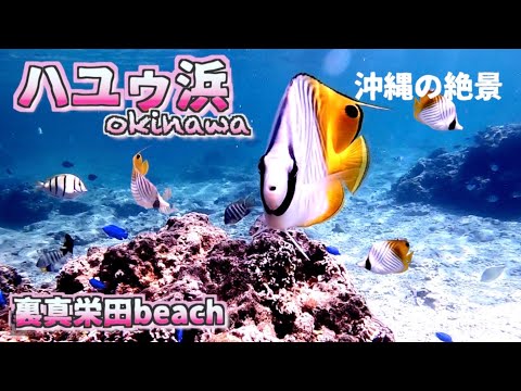 【沖縄シュノーケリングスポット】絶景 ハユゥ浜(裏真栄田beach) でシュノーケル /よなじいとあき okinawa japan snorkel diving spot【沖縄旅行 沖縄観光】