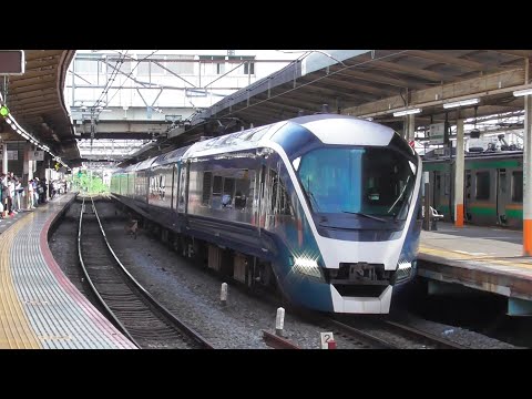 【東海道線】E261系特急サフィール踊り子 大船駅通過