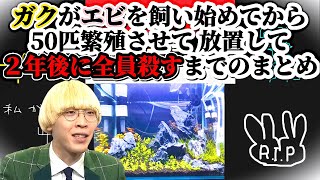 なぜガクはペットのエビを〇してしまったのか？【真空ジェシカのギガラジオ切り抜き】