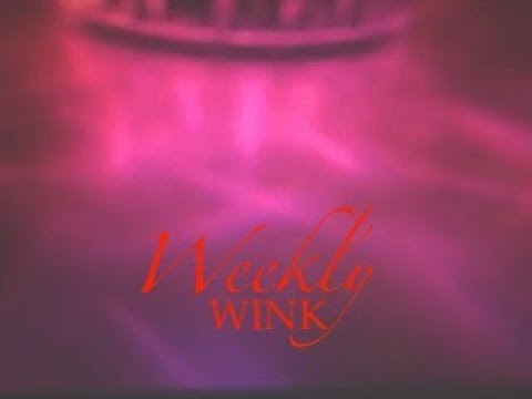 The Weekly Wink I All Days Intuitive Precap  I Episode 22 I