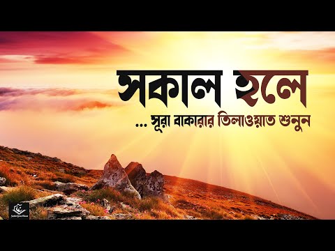 সকালটা শুরু করুন সূরা বাকারার সেরা কুরআন তিলাওয়াত শুনে । BEST QURAN RECITATION BY AHMED SAMEH