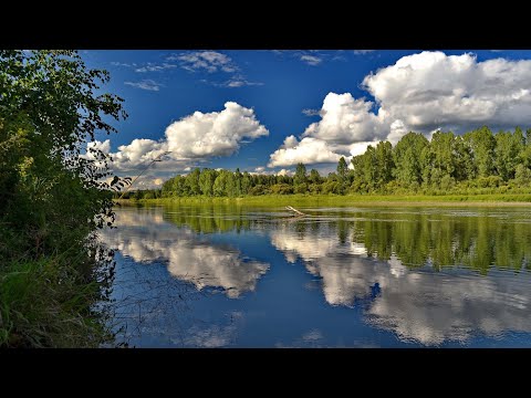 Уронило небо в речку облака.