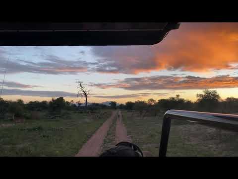 Safari sunset Bundox Safari Lodge Kruger South Africa