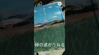 風のマジム読了。さとうきび畑を歌ってみます。