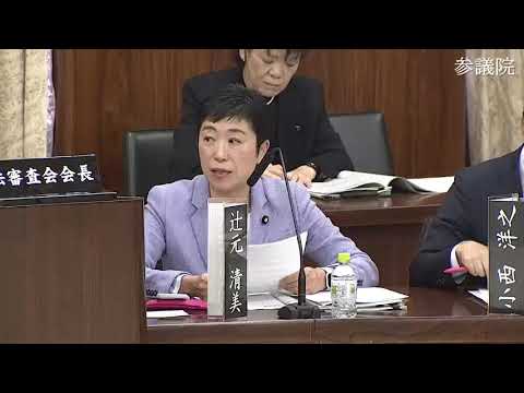 辻元清美　2023年11月15日　参議院・憲法審査会