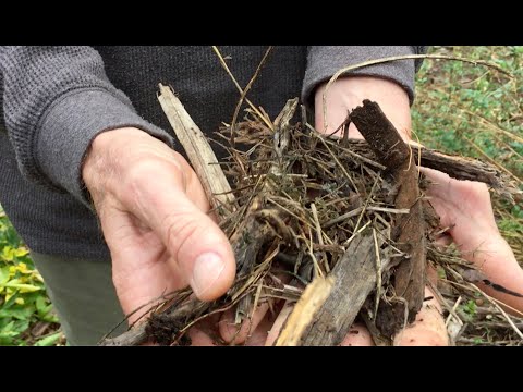 Agricultura regenerative en Granja Urkuwayku: recuperación de cangahua con la chakra andina.