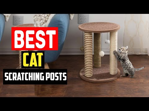 ✅Best Cat Scratching Posts in 2023