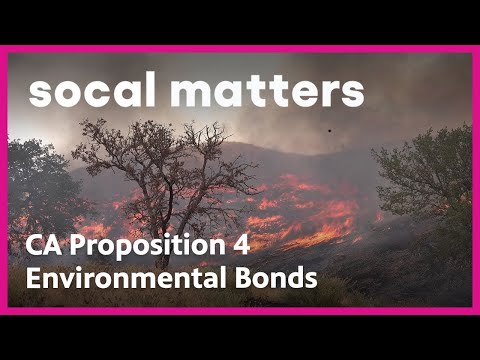 California Proposition 4 Would Grant Bonds for Environmental Projects | SoCal Matters | PBS SoCal