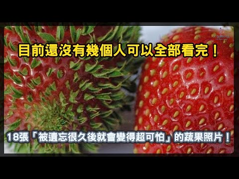 18個「被遺忘很久後就會變得超可怕」的蔬果！目前還沒有幾個人可以全部看完【人生勝利組】