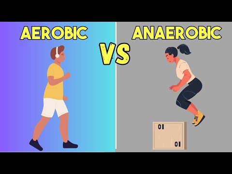 Aerobic vs Anaerobic Exercises: The Key Differences Explained