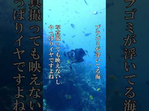 「一海一拾」 #ビーチクリーン #水中ゴミ拾い