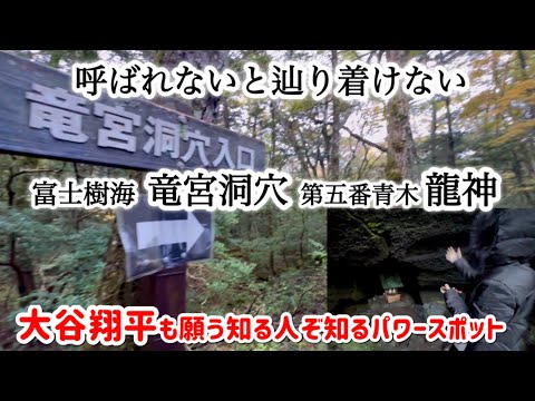 【樹海の龍神様】呼ばれないと辿り着けない樹海の守神 竜宮洞穴 第五番青木龍神 絶対に雨が降る祈りの伝説