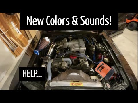 Foxbody Mustang Oil Change (O.C.O.D. & Milkshake Madness)