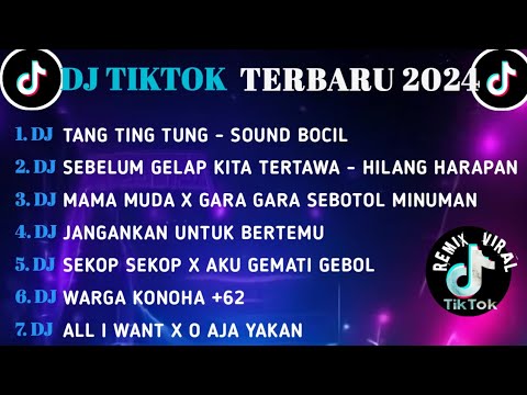 DJ TIKTOK TERBARU 2024 || DJ TANG TING TUNG || DJ SEBELUM GELAP - HILANG HARAPAN || DJ MAMA MUDA