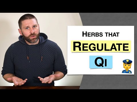 🌿 Herbology 2 Review - Herbs that Regulate the Qi (Extended Live Lecture)