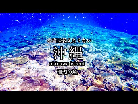 [Okinawa Hidden Beaches]Travel around Okinawa - No.1 impressive view Under the sea in Okinawa travel