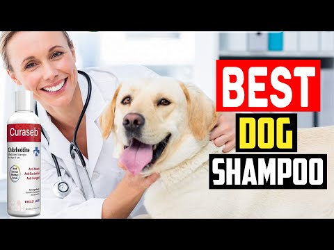 Top 5 Best Dog Shampoo in 2023