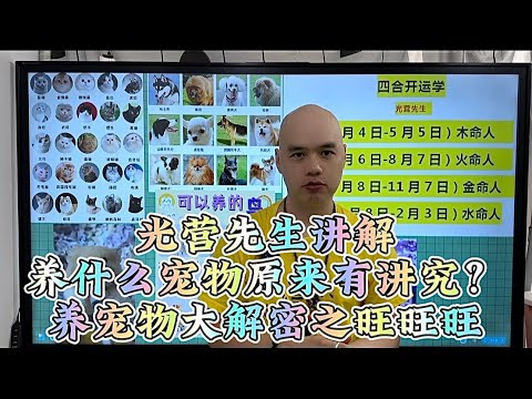 光营先生讲解养什么宠物原来有讲究？养宠物大解密之旺旺旺