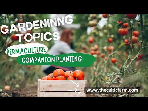 Unlock the Power of Companion Planting: Proven Strategies for a Thriving Garden!