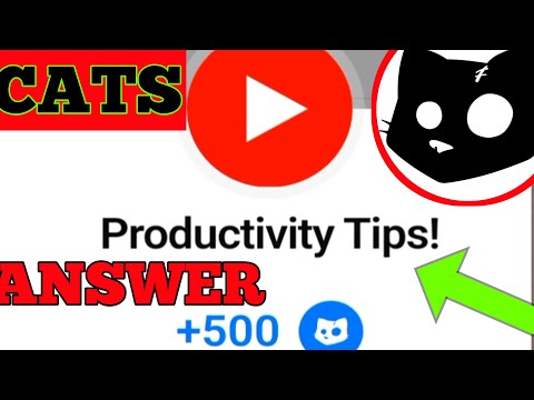 Cats NEW code(productivity Tips| cats New code answer today|Cats codes new productivem tipps