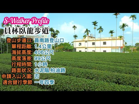 S隨談｜臥龍坡步道｜週日分享版